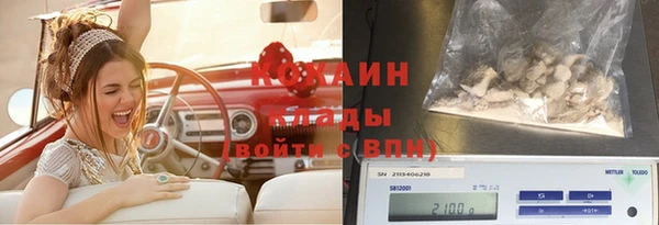 СК Вязьма