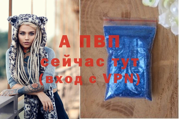 СК Вязьма